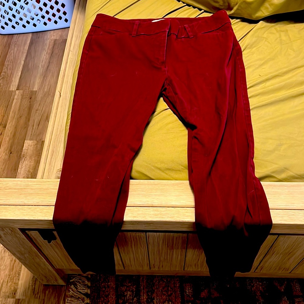 New York and company dress pants